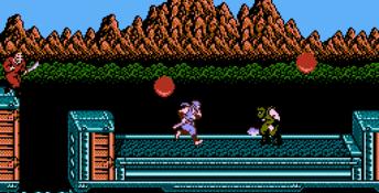 Ninja Gaiden 2: The Dark Sword of Chaos NES Screenshot