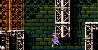 Ninja Gaiden 3: The Ancient Ship of Doom NES Screenshot
