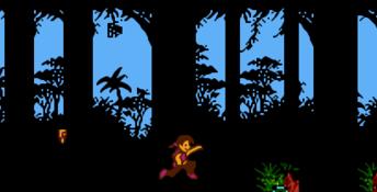 Peter Pan and the Pirates NES Screenshot