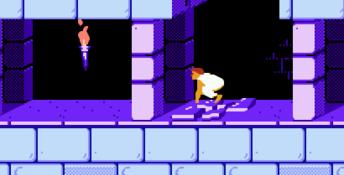 Prince of Persia NES Screenshot