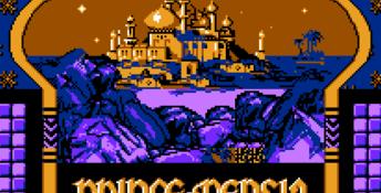 Prince of Persia NES Screenshot