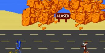 Road Runner (1989) NES Screenshot