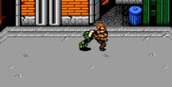Rollergames NES Screenshot