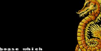 Romance of the Three Kingdoms NES Screenshot