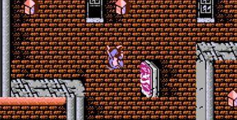 Shadow Warriors NES Screenshot
