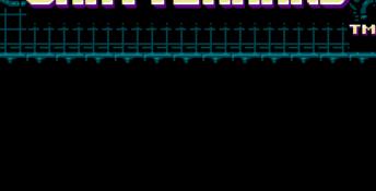 Shatterhand NES Screenshot