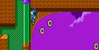 Sonic 3D Blast 5 NES Screenshot