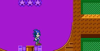 Sonic 3D Blast 5 NES Screenshot