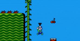 Super Mario Bros. 2 NES Screenshot
