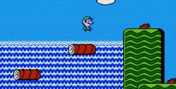 Super Mario Bros. 2 NES Screenshot