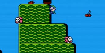 Super Mario Bros. 2 NES Screenshot