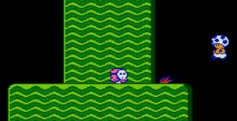 Super Mario Bros. 2 NES Screenshot