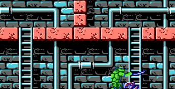 Teenage Mutant Ninja Turtles NES Screenshot