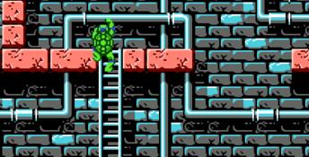 Teenage Mutant Ninja Turtles NES Screenshot