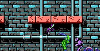 Teenage Mutant Ninja Turtles NES Screenshot