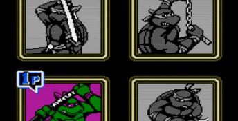 Teenage Mutant Ninja Turtles 2: The Arcade Game NES Screenshot