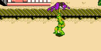 Teenage Mutant Ninja Turtles 3: The Manhattan Project NES Screenshot
