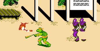 Teenage Mutant Ninja Turtles 3: The Manhattan Project NES Screenshot