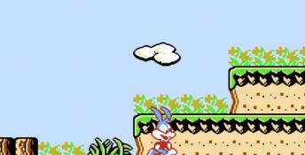 Tiny Toon Adventures NES Screenshot