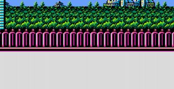 Totally Rad NES Screenshot