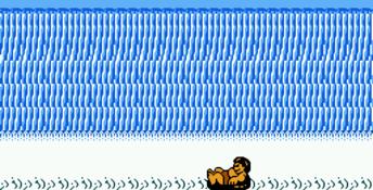Town & Country Surf Designs NES Screenshot