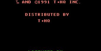 Videomation NES Screenshot