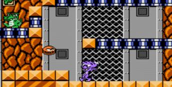 Widget NES Screenshot