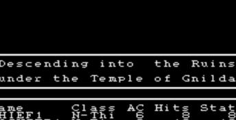 Wizardry: Proving Grounds of the Mad Overlord NES Screenshot