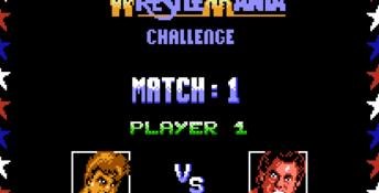 WWF WrestleMania Challenge NES Screenshot