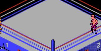 WWF WrestleMania Challenge NES Screenshot