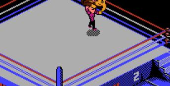 WWF WrestleMania Challenge NES Screenshot