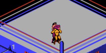 WWF WrestleMania Challenge NES Screenshot