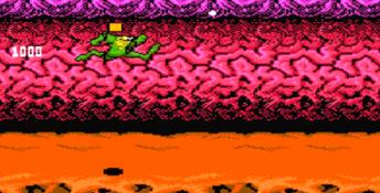 Battletoads PC Screenshot