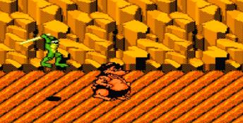 Battletoads PC Screenshot