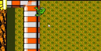 Battletoads PC Screenshot