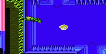 Battletoads PC Screenshot