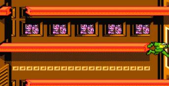 Battletoads PC Screenshot