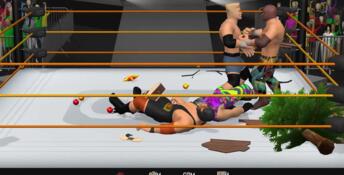Casual Pro Wrestling PC Screenshot