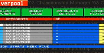 Championship Manager 94 PC Screenshot