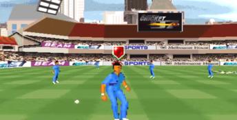 Cricket 97 PC Screenshot