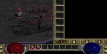 Diablo: Hellfire PC Screenshot