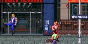 Double Dragon 3: The Arcade Game PC Screenshot