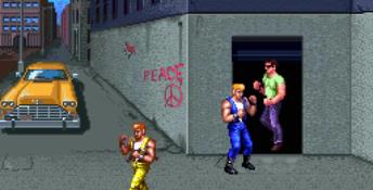 Double Dragon 3: The Arcade Game PC Screenshot