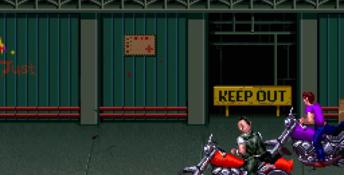 Double Dragon 3: The Arcade Game PC Screenshot