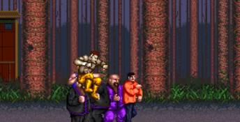 Double Dragon 3: The Arcade Game PC Screenshot