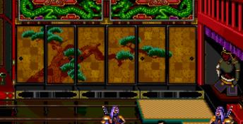 Double Dragon 3: The Arcade Game PC Screenshot