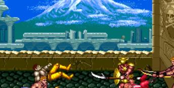 Double Dragon 3: The Arcade Game PC Screenshot