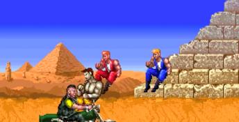 Double Dragon 3: The Arcade Game