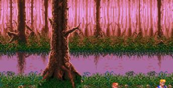 Double Dragon 3: The Arcade Game