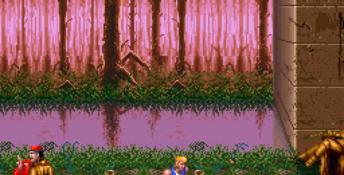 Double Dragon 3: The Arcade Game PC Screenshot